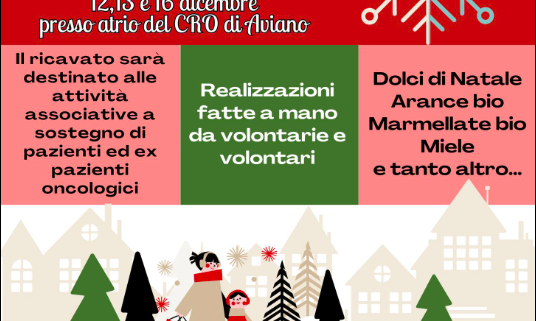 Giornate solidarietà Natale 2024