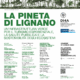 260731_Convegno-Pineta-Lignano-LOCANDINA.png